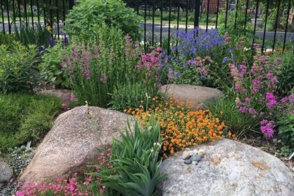 Głazy ogrodowe – efektowna ozdoba w ogrodzie