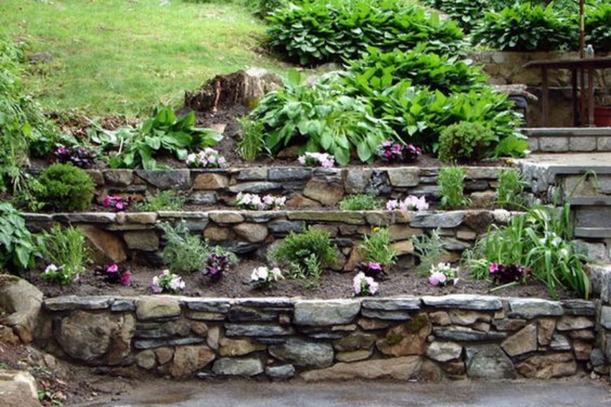 Rośliny najlepiej komponujące się z kamieniami ogrodowymi